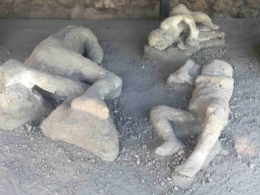 Pompeii: 2H group guided tour with a certified guide - Meeting at Circumvesuviana: how to find Tempio Travel fast