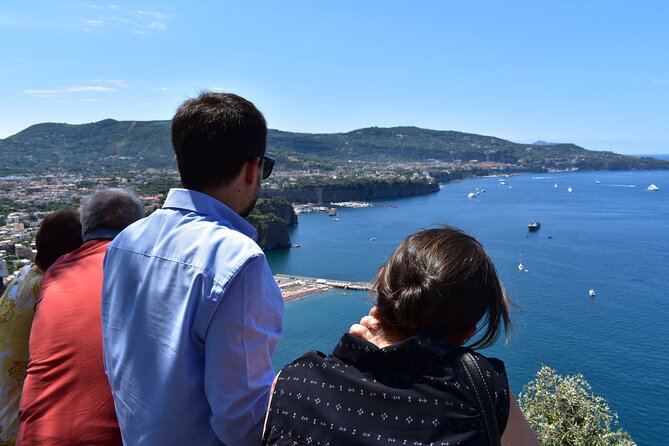 Pompeii & Amalfi Coast Tour from Naples or Sorrento - Naples or Sorrento pickup: what “private” means in real life