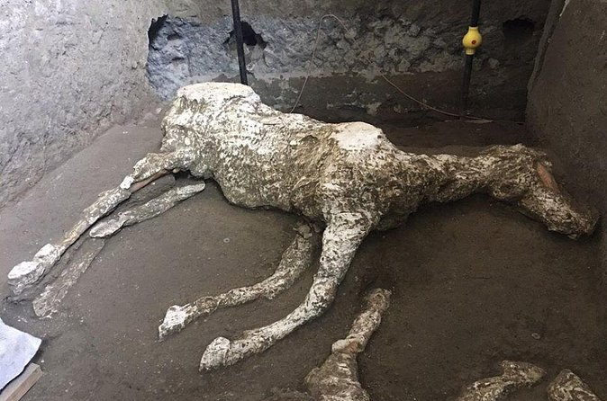 Pompeii and Herculaneum Day Tour - with Lunch from Naples - Timing, pace, and group size: how this day stays workable