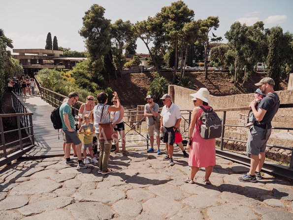 Pompeii and Herculaneum led by an Archaeologist with private transport - The value question: is $666.75 for this private day actually worth it?