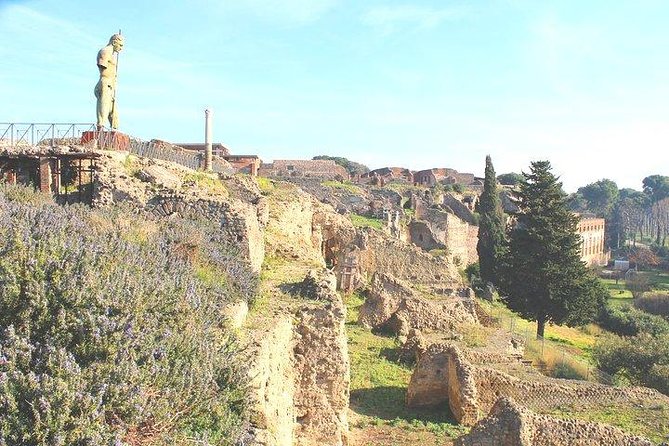 Pompeii and Herculaneum Private Tour with Native Guide and Skip the Line Tickets - How the combined route actually helps your planning