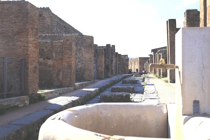 Pompeii and Herculaneum Private Tour with Native Guide and Skip the Line Tickets - Getting the most out of the 5-hour day: your best strategy