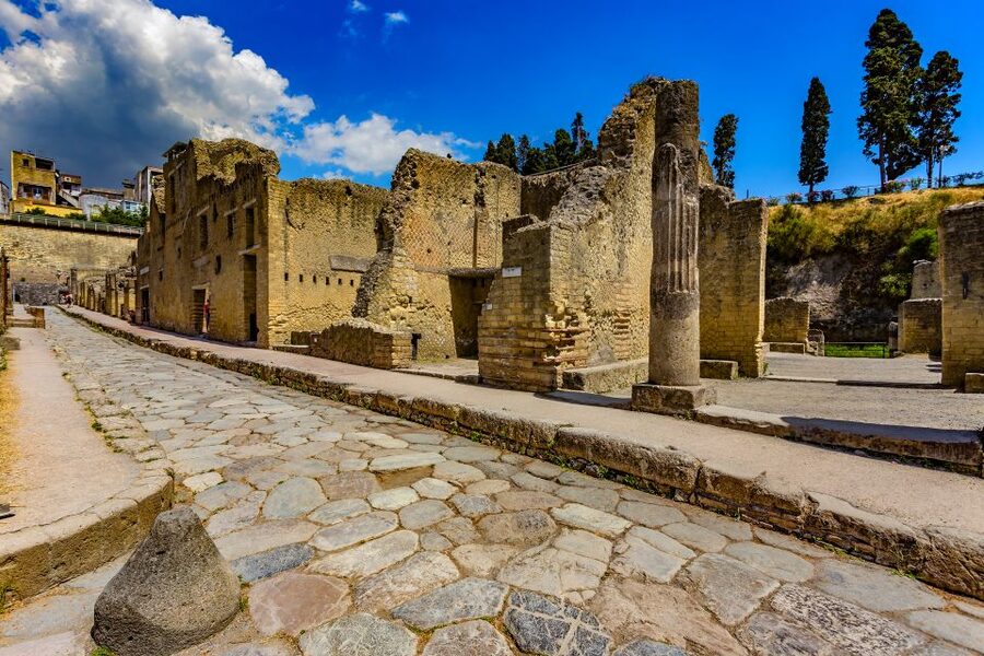 Pompeii and Herculaneum: Private Tour with Transportation - Skip-the-line tickets without the hassle