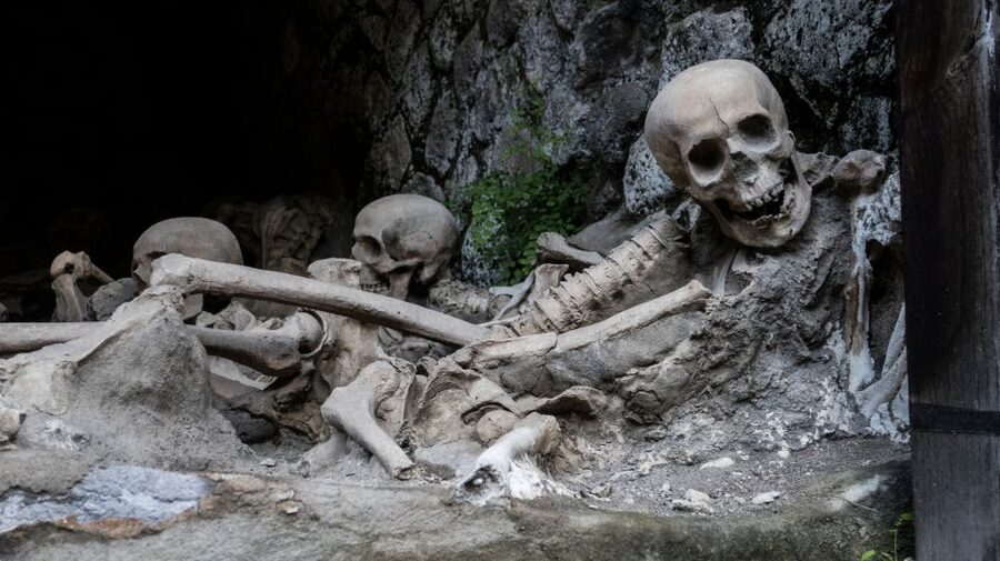 Pompeii and Herculaneum: Private Tour with Transportation - Pace, walking reality, and photo expectations