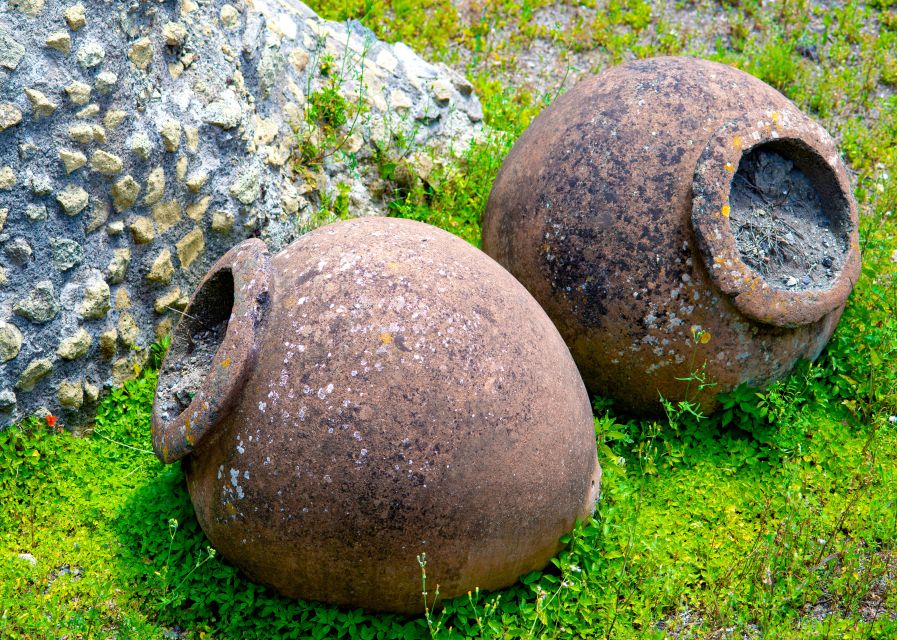 Pompeii and Herculaneum: Private Tour with Transportation - Languages and private-group feel