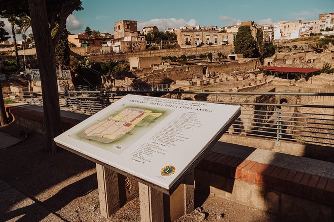 Pompeii and Herculaneum Small Group Excursion from Naples - Herculaneum houses and baths: the stops that shape the story