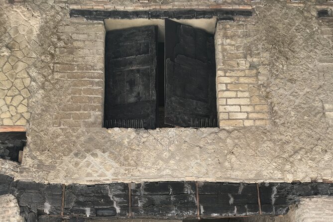 Pompeii and Herculaneum with archaeologist, private visit !!! - Herculaneum Park: Houses, Mosaics, Frescoes, and Charred Finds