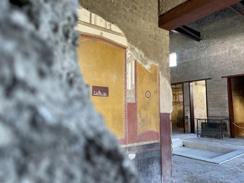 Pompeii and House of Vettii Guided Tour - Should You Book This Pompeii + House of Vettii Tour?