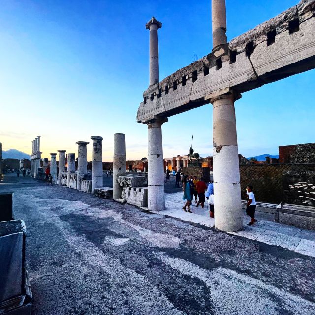 Pompeii and House of Vettii Guided Tour - Skip-The-Line Entry Into Pompeii’s Main Experience