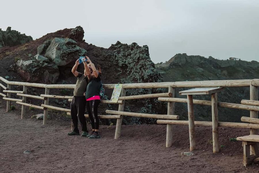 Pompeii and Mount Vesuvius excursion from Naples - Transport, Comfort, and Staying on Schedule