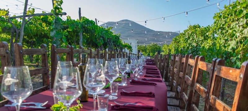 Pompeii and Vesuvius Cellars: Tour with Pick-Up in Positano - Walking the Roman city buried in 79 AD: what you’ll see