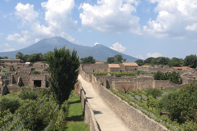 Pompeii and Vesuvius Day Trip from Naples with Lunch - Who This Trip Suits (and Who Might Struggle)
