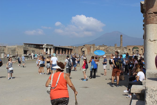 Pompeii and Vesuvius from Naples. Private activity - The price question: is $768.90 per person worth it?