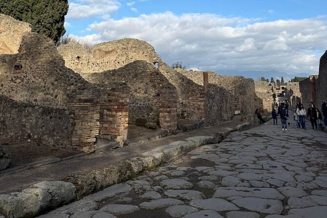 Pompeii and Vesuvius Private Tour from Naples - How to Get the Most From Pompeii’s Time