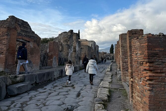 Pompeii and Vesuvius Private Tour from Naples - The On-Board Audio Guide System (and What You Should Bring)