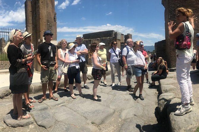 Pompeii and Vesuvius Small Group Tour From Naples with Pizza - Guide and Driver: What Consistent Organization Looks Like