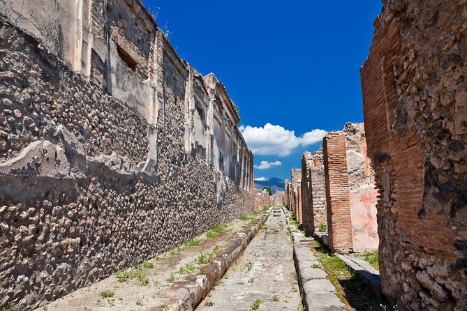 Pompeii and Vesuvius Wine Tasting Private Tour - Key highlights to expect