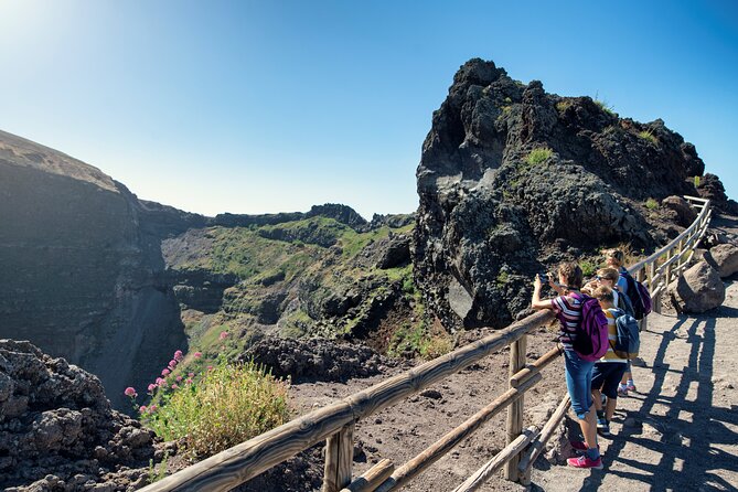 Pompeii and Vesuvius Wine Tasting Private Tour - Mount Vesuvius: The Crater Climb and What Makes It Worth It