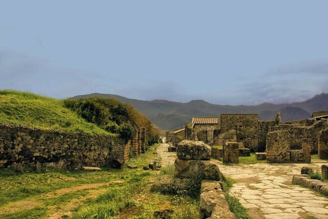 Pompeii Archaeological Park Skip-the-line Entry and Audio Guide - Pompeii Forum: the heart of commerce and politics