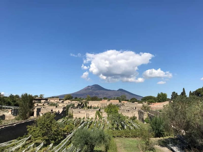 Pompeii: Archeological Tour & Wine Tasting at Mt. Vesuvius - Price and Value: What $135.94 Covers and Why It Can Be Worth It