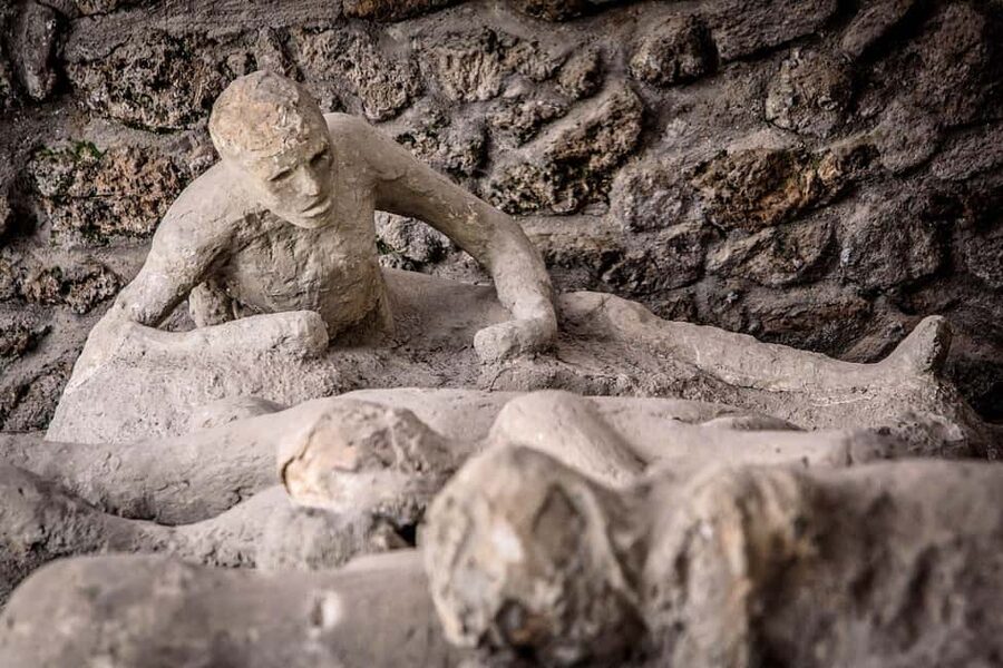Pompeii: Archeological Tour & Wine Tasting at Mt. Vesuvius - The Van Transfer to the Vineyard: Simple, Short, and Timed