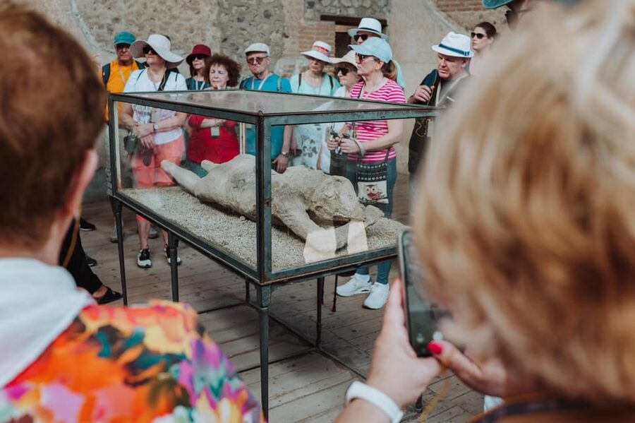Pompeii: Entry Ticket and Guided Tour with an Archaeologist - Macellum and Food Culture: The Commercial Side You Don’t Want to Miss