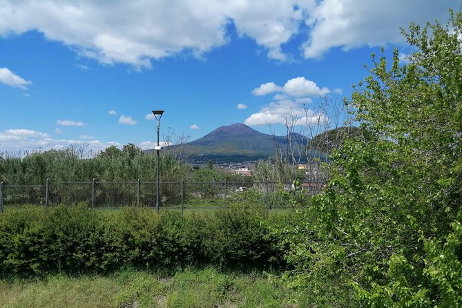 Pompeii from Naples: Smart Audio Guide with Travel Instructions - Smart Audio Guide app: GPS, photos, and how you use it on-site
