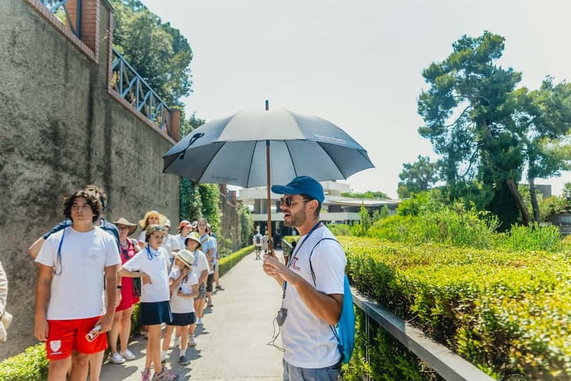 Pompeii: Group Tour with an Archeologist Guide - Pricing and Value: What $40 Really Buys