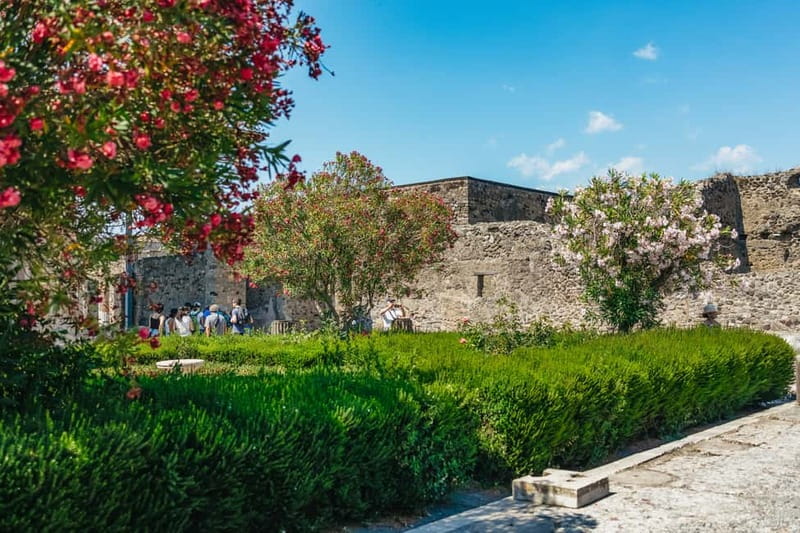 Pompeii: Group Tour with an Archeologist Guide - Your 2-Hour Pompeii Route: What Each Stop Teaches You