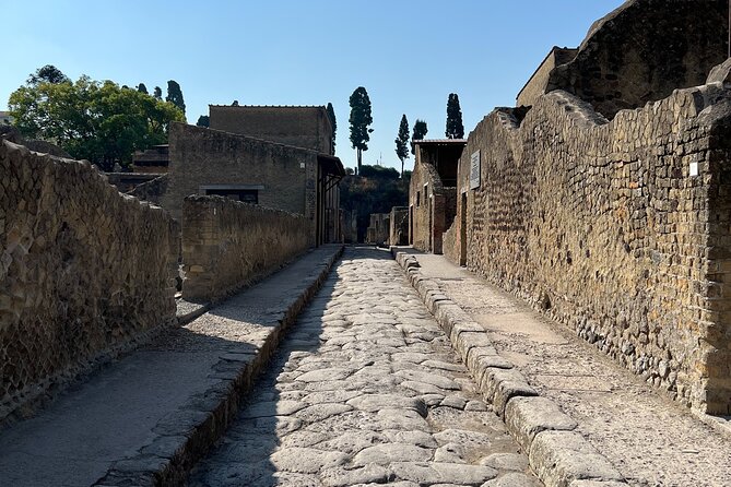 Pompeii Guided Experience - Tour Service Only - Pompeii Highlights in a 2-Hour Guided Sprint