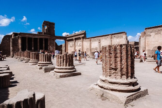 Pompeii Guided Experience - Tour Service Only - Starting at Hortus Pompei: The Meeting Point Advantage