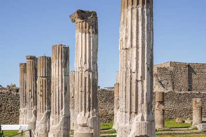 Pompeii Guided Experience - Tour Service Only - Your Entry Ticket Is Separate: Plan the Timed Slot