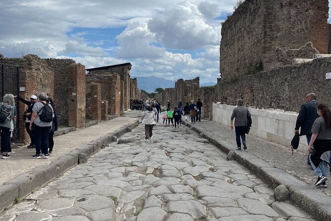 Pompeii Guided Tour from Naples with Transport and Entrance Included - Pompeii Archaeological Park: what you get in the guided two hours