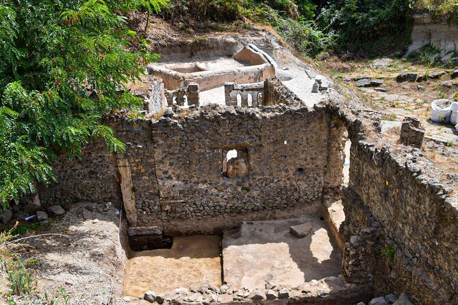 Pompeii Guided Tour & Lunch with Superior Wine Tasting - The 2-Hour Pompeii Guided Walk: Fast Understanding, Not a Quick Glance