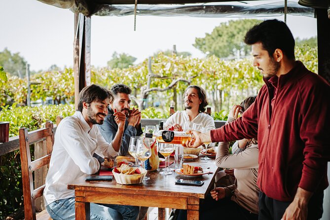 Pompeii Guided Tour & Lunch with Superior Wine Tasting - Trecase on the Vesuvius Slopes: Wine With Gulf Views