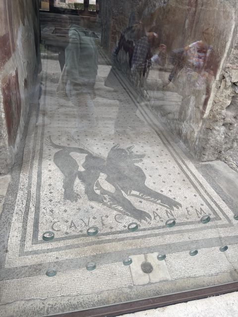 Pompeii: Guided Tour & Skip the Line Ticket - House of the Golden Cupids: art and meaning in everyday rooms