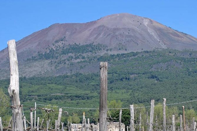 Pompeii, Herculaneum and Vesuvius Private Guided Tour - Why Pompeii, Herculaneum, and Vesuvius in One Day Makes Sense