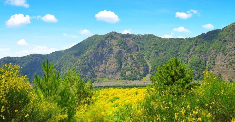 Pompeii, Herculaneum and Vesuvius Tour - A One-Day Loop That Actually Works: Pompeii, Herculaneum, and Vesuvius