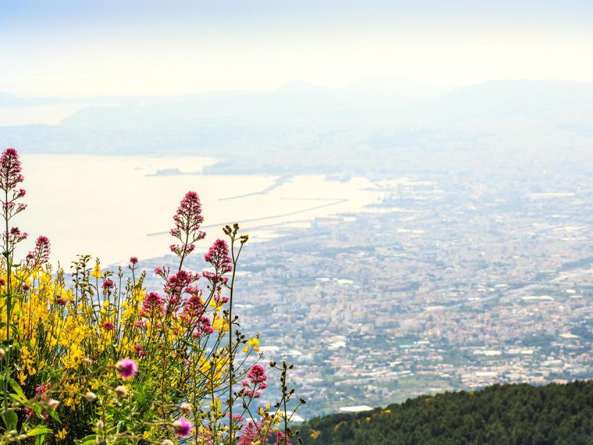 Pompeii, Herculaneum and Vesuvius Tour - Mount Vesuvius in Practice: Making the Most of 1.5 Hours