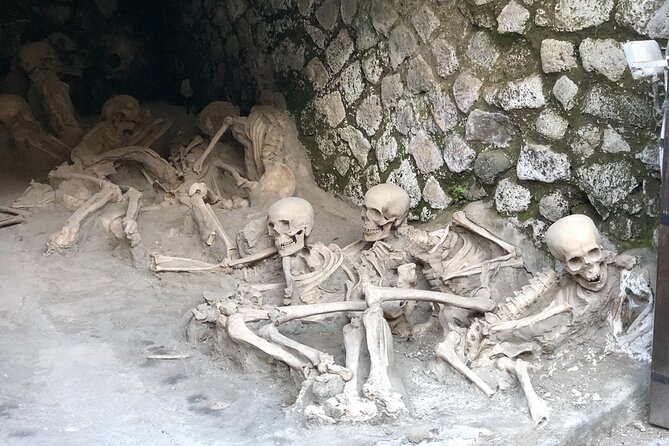 Pompeii & Herculaneum Family Adventure | Guide+Transport+Tickets - Market, baths, and everyday streets that feel like errands