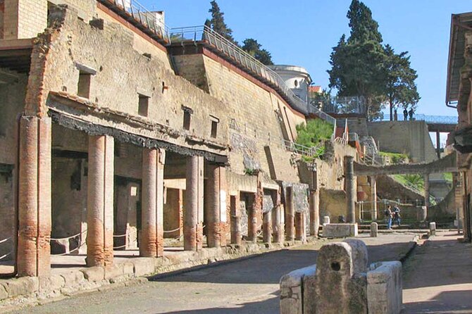 Pompeii & Herculaneum Private Tour: Fast-Track, Winery & Lunch - Private pickup from Naples and fast entry to Pompeii