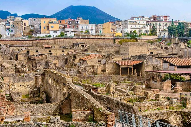 Pompeii & Herculaneum Private Tour: Fast-Track, Winery & Lunch - Who this tour is perfect for (and who should consider another plan)