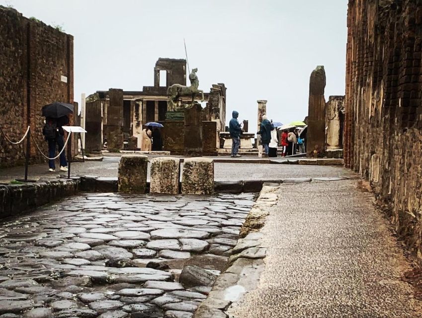 Pompeii in 2h and 30mnt: walk with local guide - Your 2.5-Hour Route: Houses, Shops, Baths, and the Eruption Story