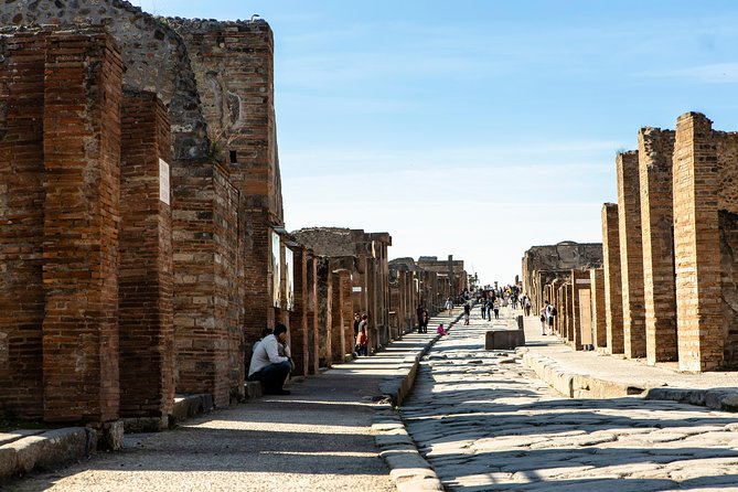 Pompeii & Mt.Vesuvius Day Tour from Naples with Pizza Lunch - A Naples-to-Pompeii-and-Vesuvius Day in One Shot