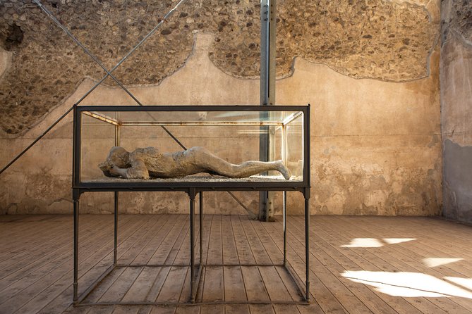 Pompeii & Mt.Vesuvius Day Tour from Naples with Pizza Lunch - Who This Pompeii and Vesuvius Tour From Naples Is For
