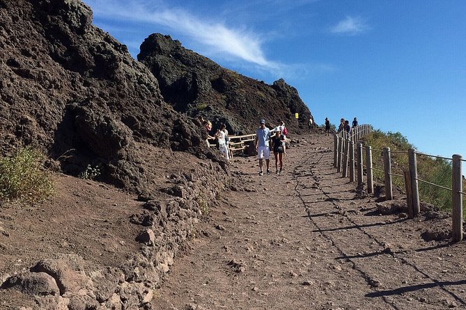 Pompeii & Mt.Vesuvius Private Tour (All inclusive package) - Who this tour suits best (and who might rethink it)
