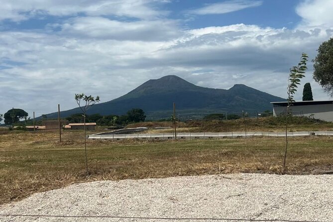 Pompeii New Excavations , Discoveries ,New Itinerary, Private Tour - What 2 hours 30 minutes really means for your day