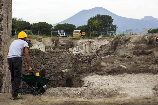 Pompeii New Excavations , Discoveries ,New Itinerary, Private Tour - Price and value: $362.05 for up to 8 people