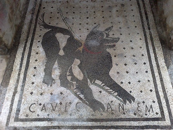 Pompeii Positano and Sorrento shared excursion with Pompeii skip the line entry - Getting through the day without feeling wrecked