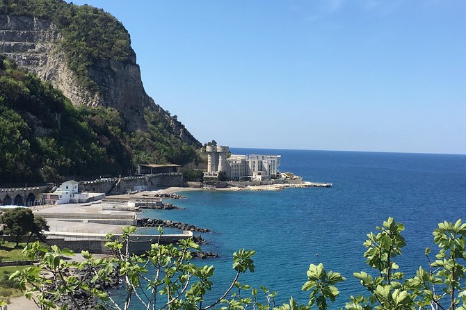 Pompeii private guided tour and Amalfi coast - The driver-and-guide touch: names you might meet